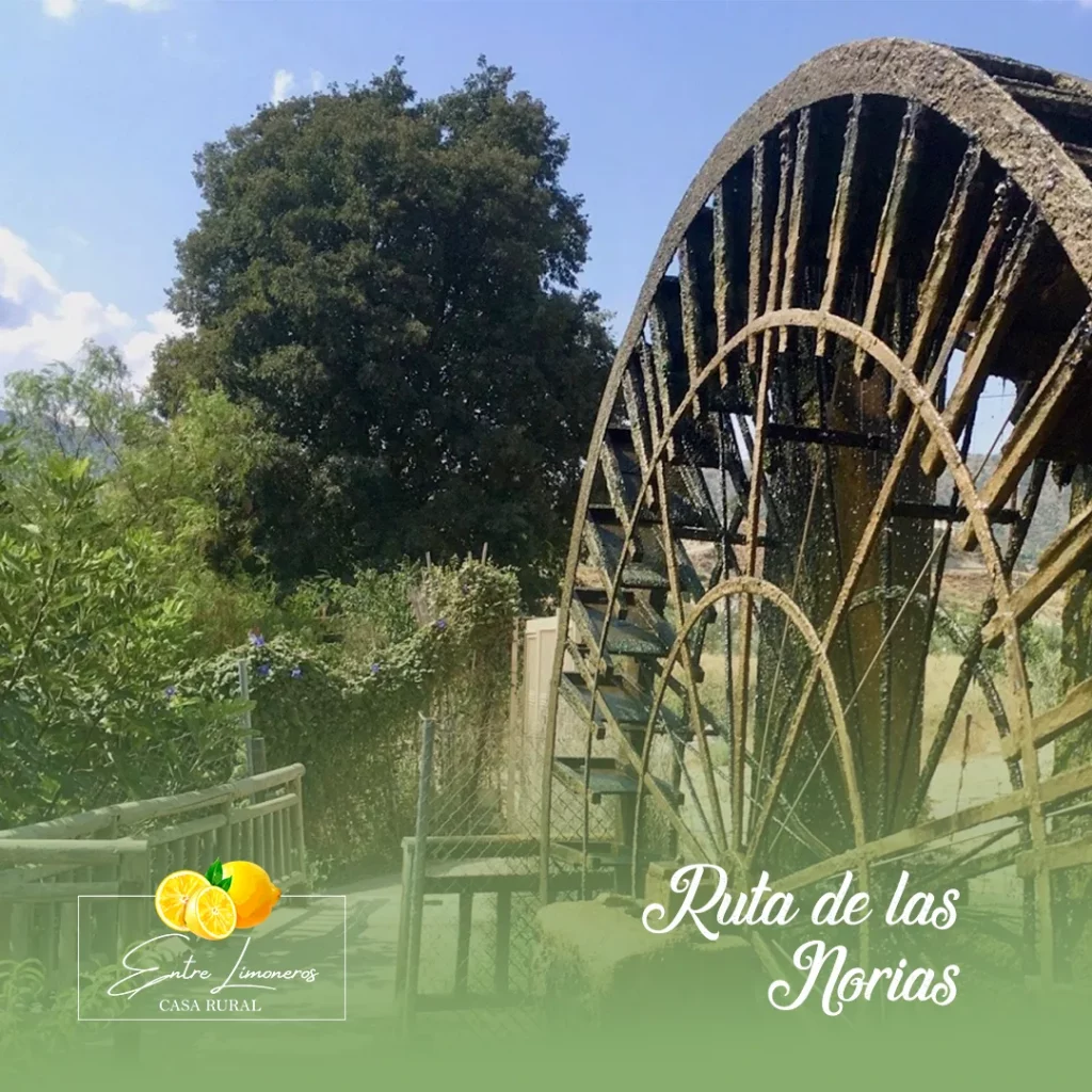 ruta de las norias