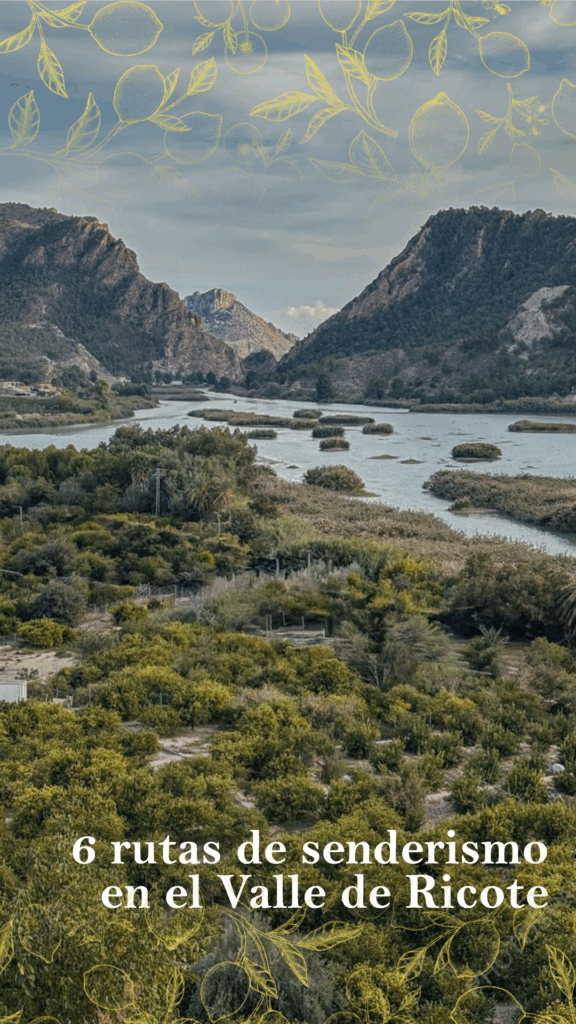 Rutas senderismo Valle de Ricote